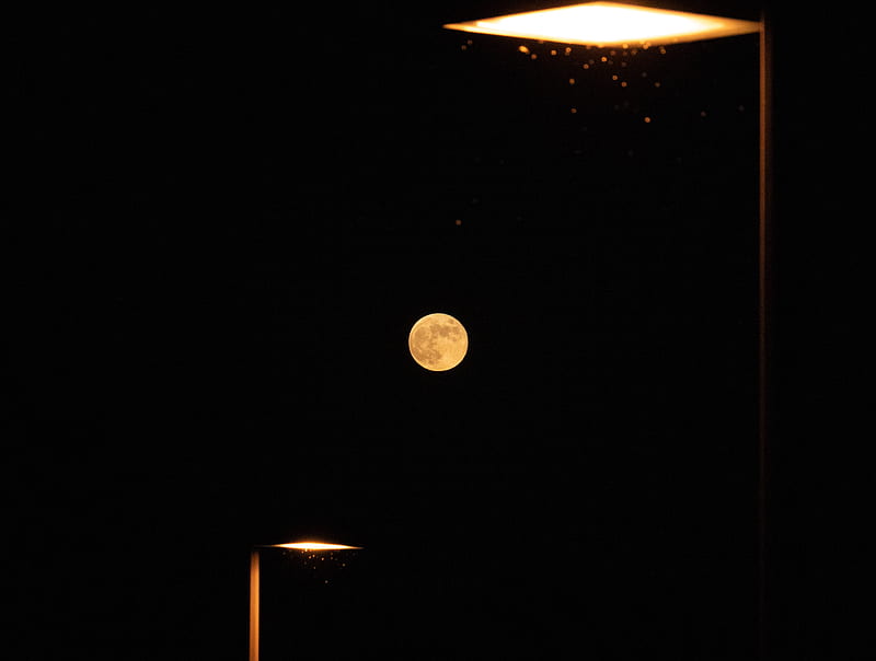 moon, full moon, lantern, black, night, HD wallpaper