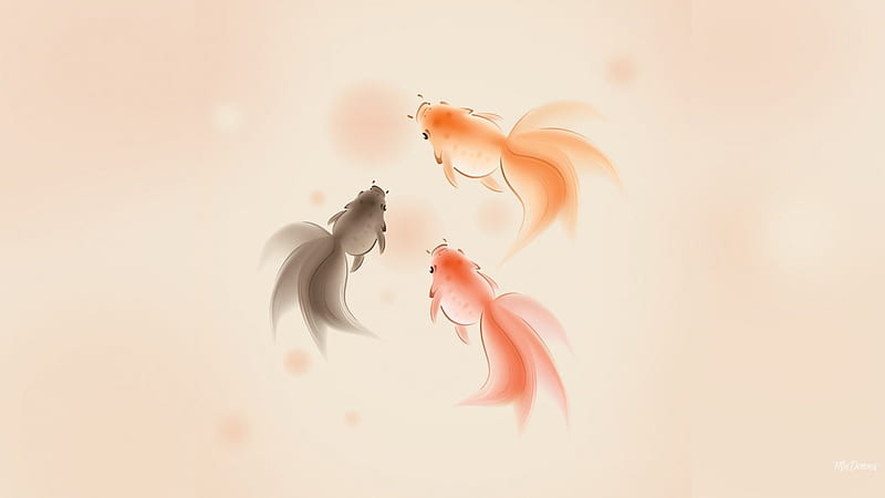 Fantail Fish, Oriental, fish, peach, soft, Chinese, Asian, light, HD wallpaper