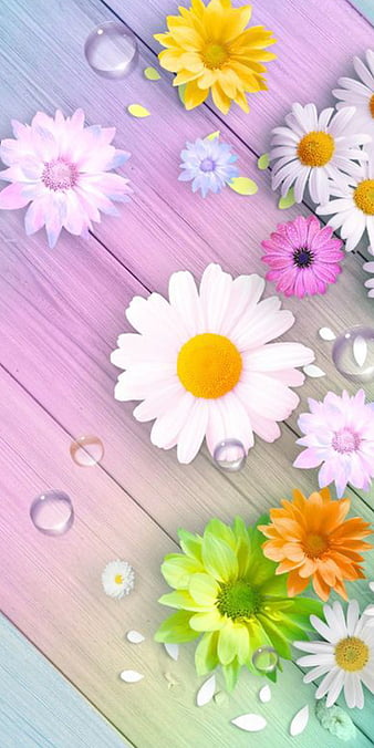 448783 Pink Daisy Images Stock Photos  Vectors  Shutterstock