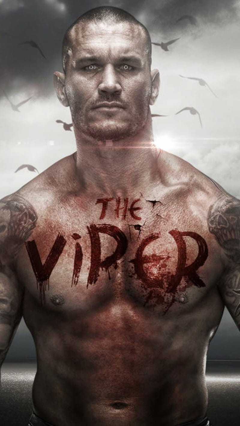 Randy Orton, apex predator, viper, wwe, HD phone wallpaper | Peakpx