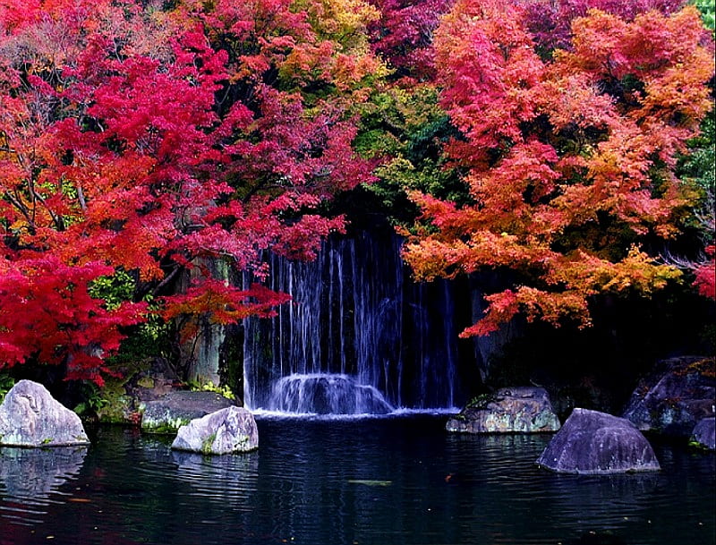Acer Falls, pretty, rocks, stunning, japanese, trees, acers, water ...