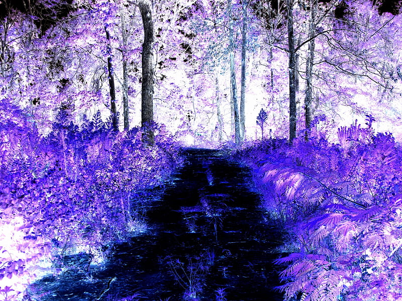 Purple Darkness, nowhere, road, purple, NB TX, HD wallpaper | Peakpx