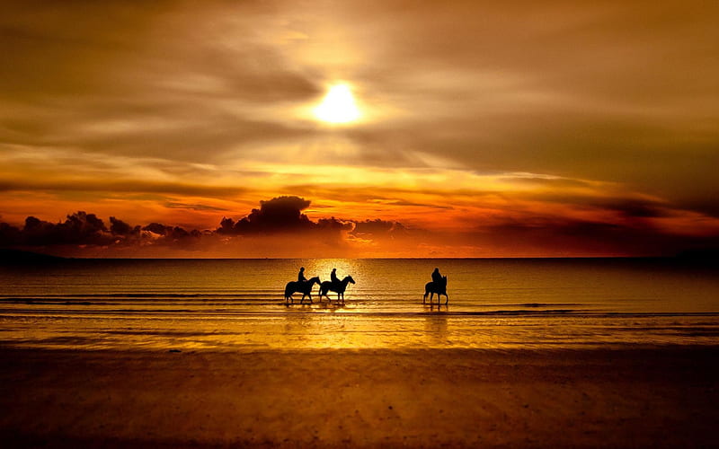 horses sunset-Nature Scenery, HD wallpaper