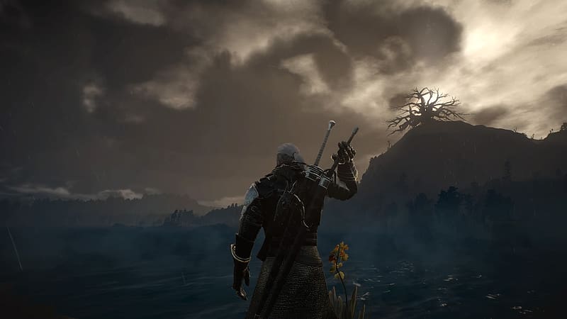 Desktop Wallpapers The Witcher 3: Wild Hunt wolf vdeo game 1366x768