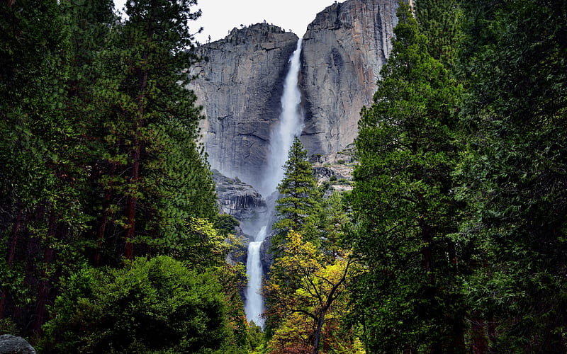 high cliff, waterfall, forest, mountain landscape, high waterfall, HD wallpaper