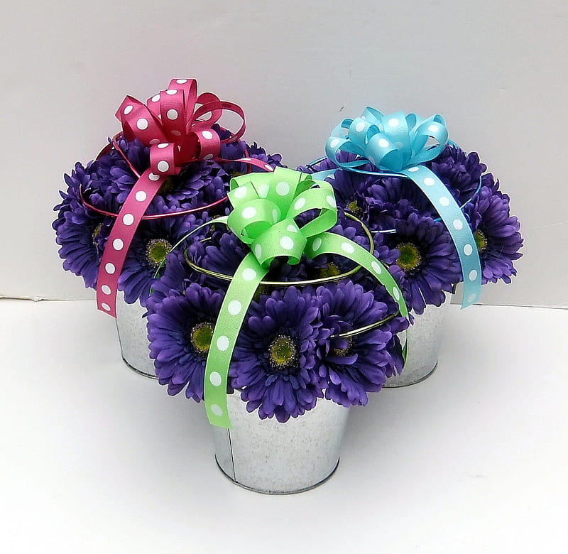 Pretty ribbons, ribbon, bows, metal vase, green, centerpieces, purple, colored, polka dots, entertainment, gerbera, violet, fashion, pink, blue, HD wallpaper