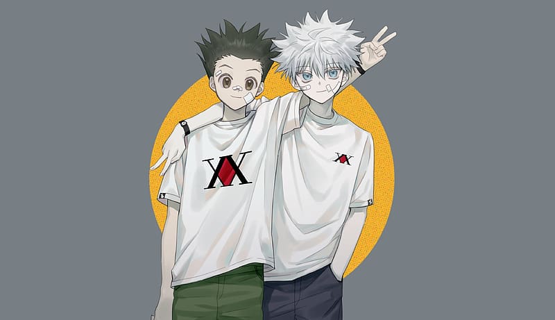 Anime, Hunter x Hunter, Boy, Gon css, Killua Zoldyck, HD wallpaper