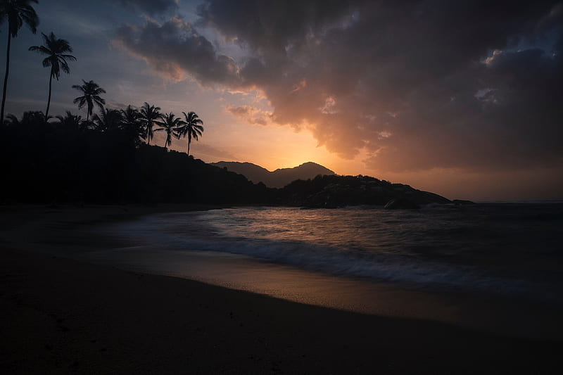 ocean, palm trees, sunset, shore, night, tropics, HD wallpaper
