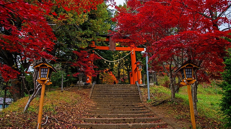 Torii Gate, red, gate, japan, torii, autumn, japanese, shrine, temple, scenery, HD wallpaper