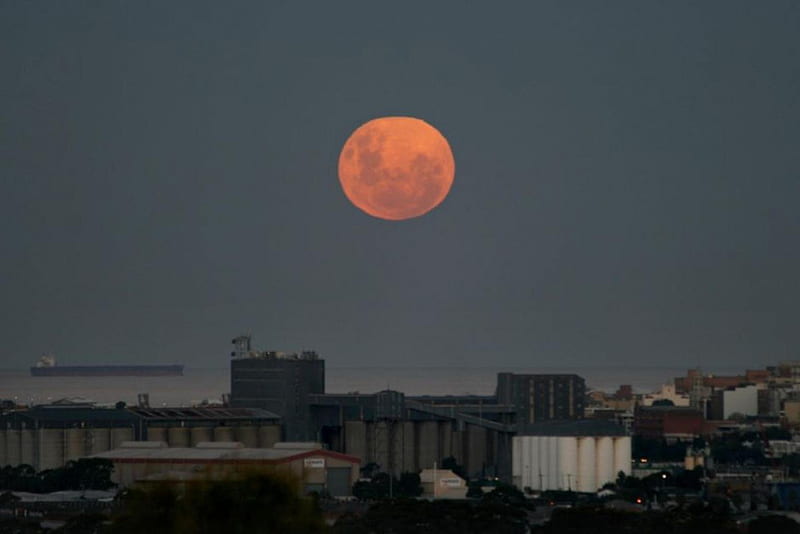 Full Moon over Newcastle, New South Wales, Australia, moon, buildings, night, full, HD wallpaper