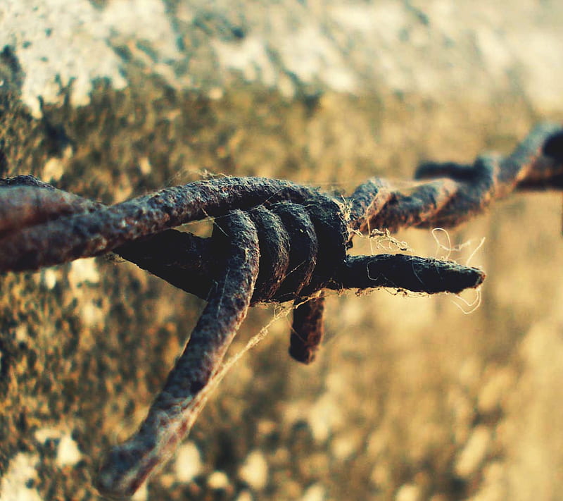 Barb Wire, background, mounting, rust, wall, HD wallpaper