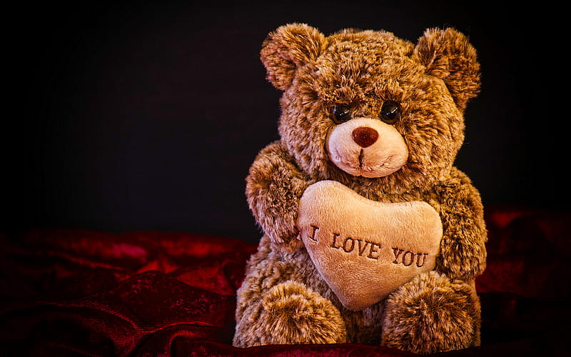 I Love You teddy bear, love concepts, soft toys, teddy bear with heart, HD wallpaper