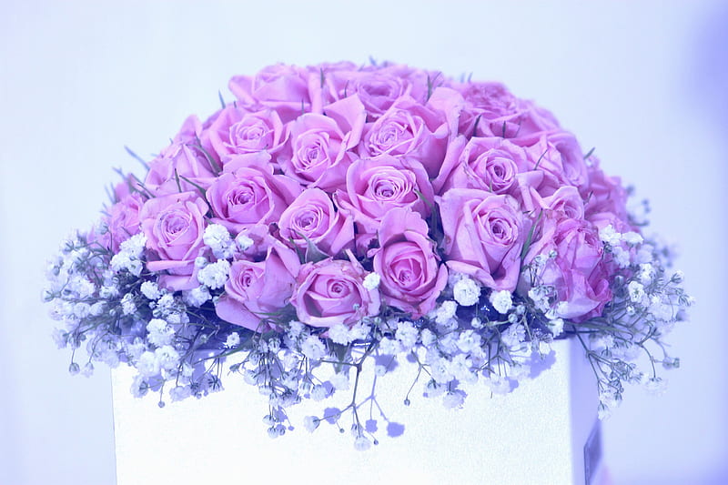 Man Made, Flower, Bouquet, Box, Pink Rose, Rose, HD wallpaper