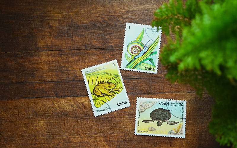 Cuban postage stamps, dark wood texture, postage stamps with animals, Cuba, post, travel to Cuba, HD wallpaper