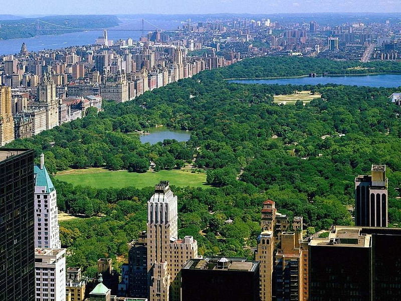 Central Park New York City, new york, the big apple, central park, ny, HD wallpaper