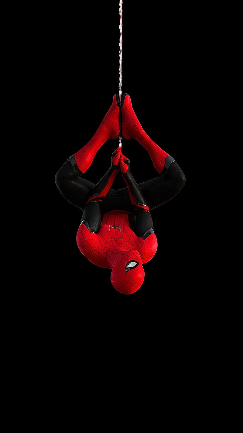 Punch Hole Camera, Spiderman Hanging Upside Down, marvel, superhero, animated, HD phone wallpaper