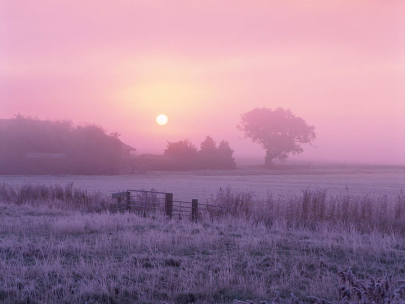 Frosty Farmland, nature, fields, morning, sky, winter, HD wallpaper