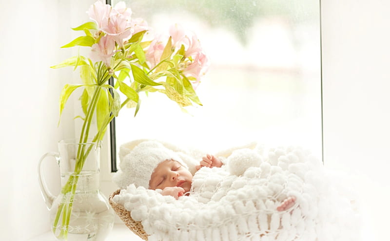 Sleeping angel, life, vase, adorable, baby, cute, water, basket, sweet dreams, flowers, child, sweetness, childhood, HD wallpaper