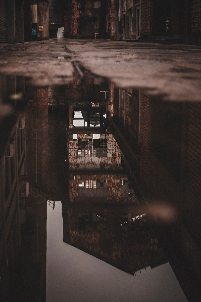 puddle, water, reflection, building, HD phone wallpaper