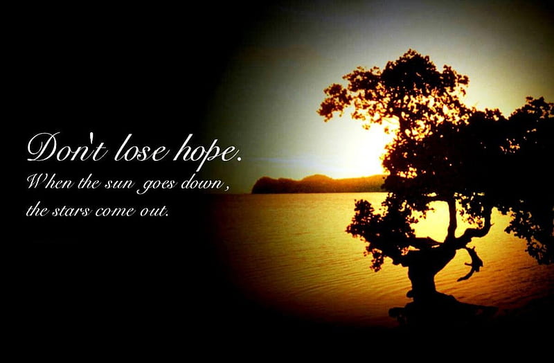 Never lose hope, , expression, new, color, HD wallpaper