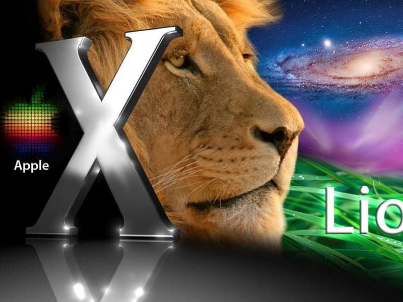 Lion for apple, felines, big cats, animals, lions, HD wallpaper