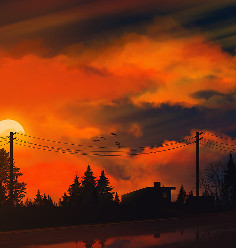 sunset, sun, trees, wires, art, HD phone wallpaper