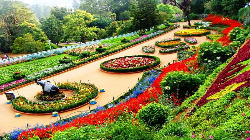 Ooty Botanical Garden, Tamil Nadu State India, plants, blossoms, path, colors, trees, HD wallpaper