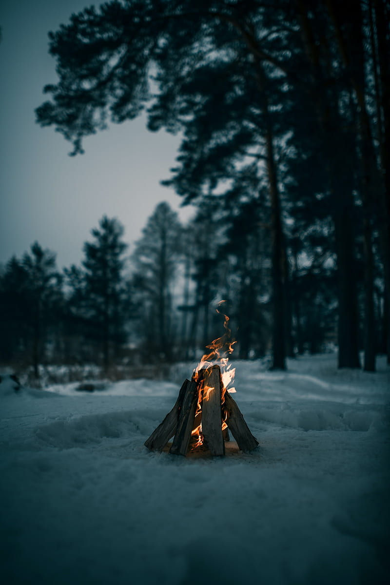 bonfire, fire, firewood, snow, winter, HD phone wallpaper