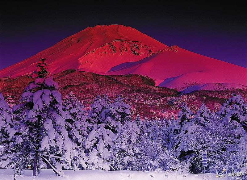 Mt. Fuji, mountain, japan, japanese, snow, scenery, fuji, night, winter, HD wallpaper