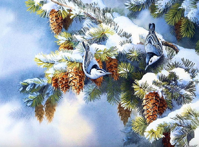 Winter Birds, snow, painting, blue jay, fir, pinecones, artwork, HD wallpaper