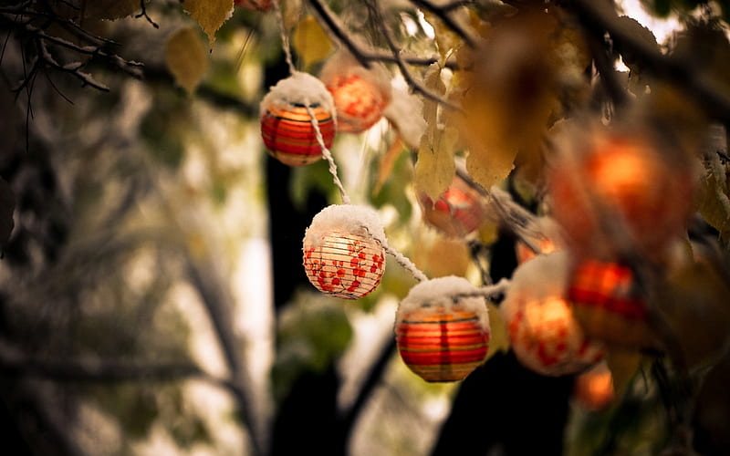 Lanterns, tree, leaves, lantern, snow, twig, lights, winter, light, HD wallpaper