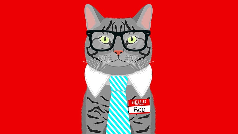 Bob Cat, smart, cute, cats, funny, HD wallpaper