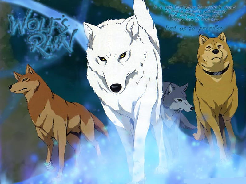 anime brown wolf