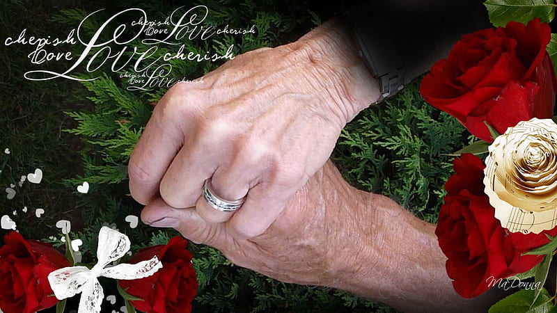 Together Forever, red roses, bow, marriage, mother, father, grandmother, lovers, love, grandfather, ribbon, collage, corazones, hands, tree, wrinkles, cedar, ring, HD wallpaper