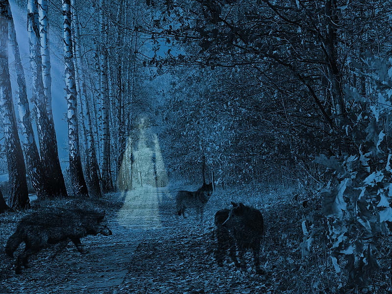 forest spirit, forest, spirit, ghost, wolf, trees, wolves, light, HD wallpaper