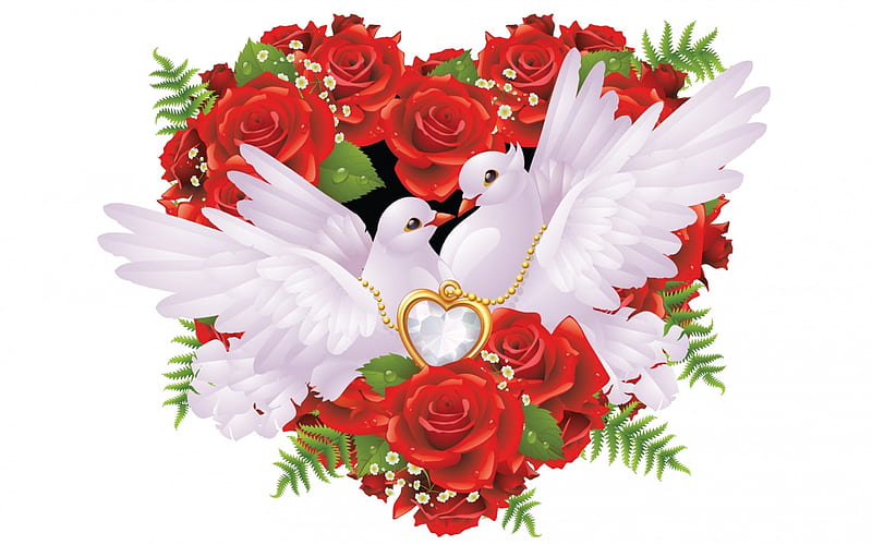 Love, red, rose, valentine, wedding, card, bird, heart, flower, dove, white, HD wallpaper