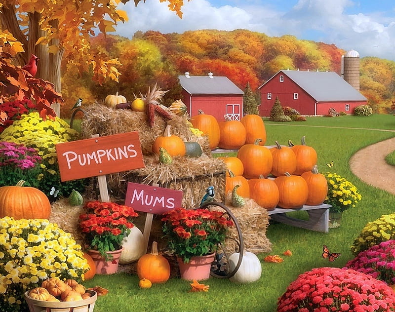 Autumn memories, fruit, autumn, nature, pumpkin, farm, HD wallpaper