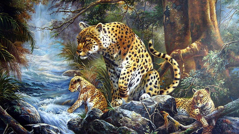 Panthers in the Wild, leopards, spots, small cats, wildlife, nature, jaguar, cubs, big cats, habitat, HD wallpaper
