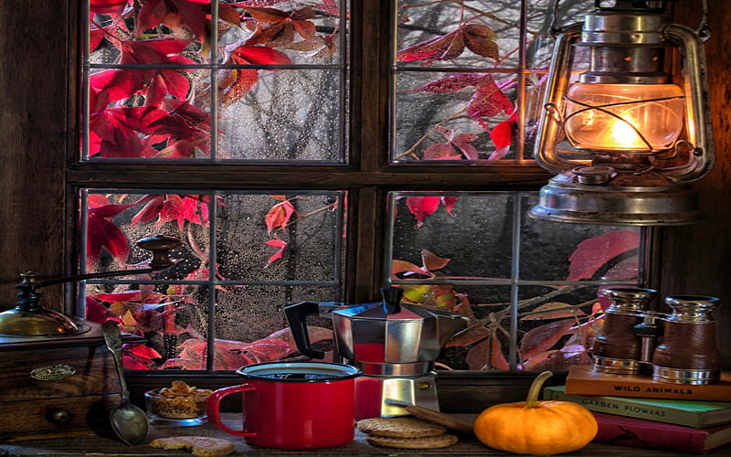 Watching the Trees And Leaves, Lamp, Kerosene, Tea, Pumpkin, Window, Cookies, HD wallpaper
