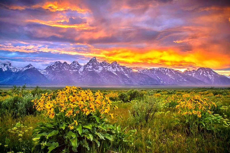 Teton Sunset At The End Of A Stormy Day, red, grass, orange, yellow, bonito, sunset, sky, clouds, mountains, wildflowers, flowers, snowy peaks, HD wallpaper