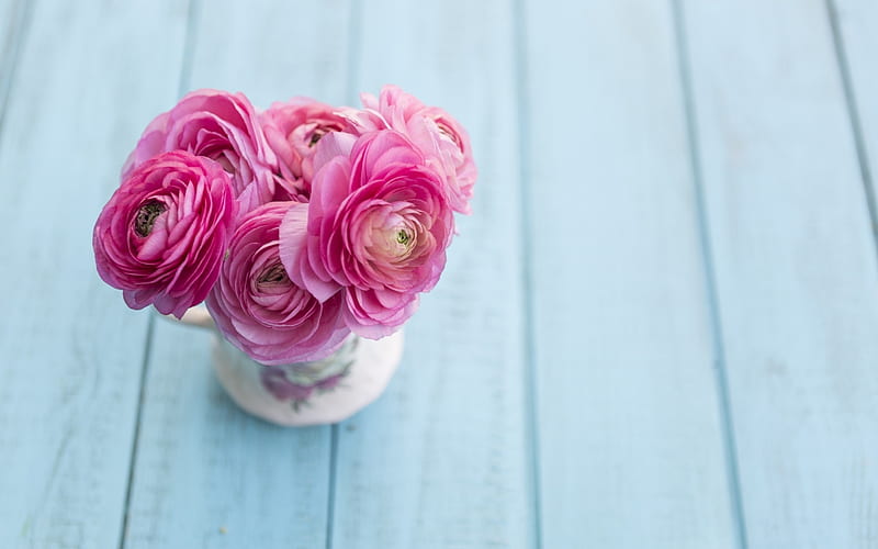 Flowers, ranunculus, flower, cup, pink, wood, blue, HD wallpaper