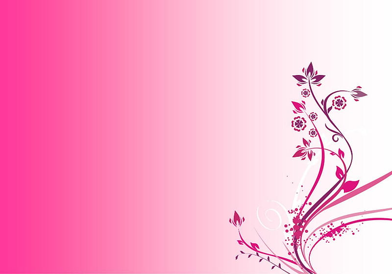 Pink Fantasy, by vannabanana 151.jpg, flower, white, pink, vector, HD wallpaper