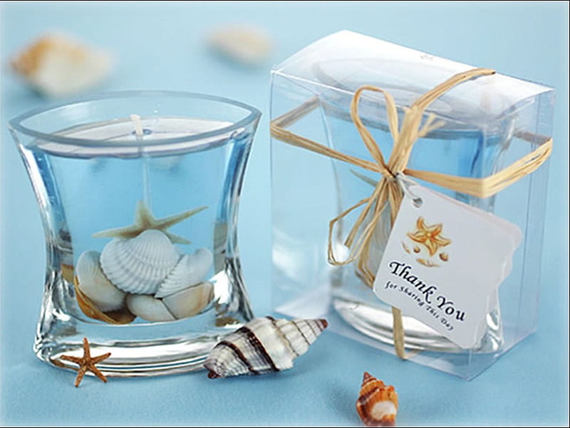 seashell candles, seashells, wonderful, decoration, shells, gift, sea, blue, candles, HD wallpaper