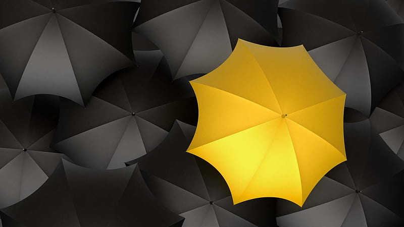 Yellow Umbrella Surrounded By Black Umbrellas Yellow, HD wallpaper