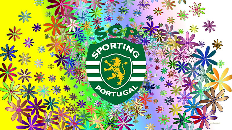 Sporting clube de portugal lwn manchester city f.c.