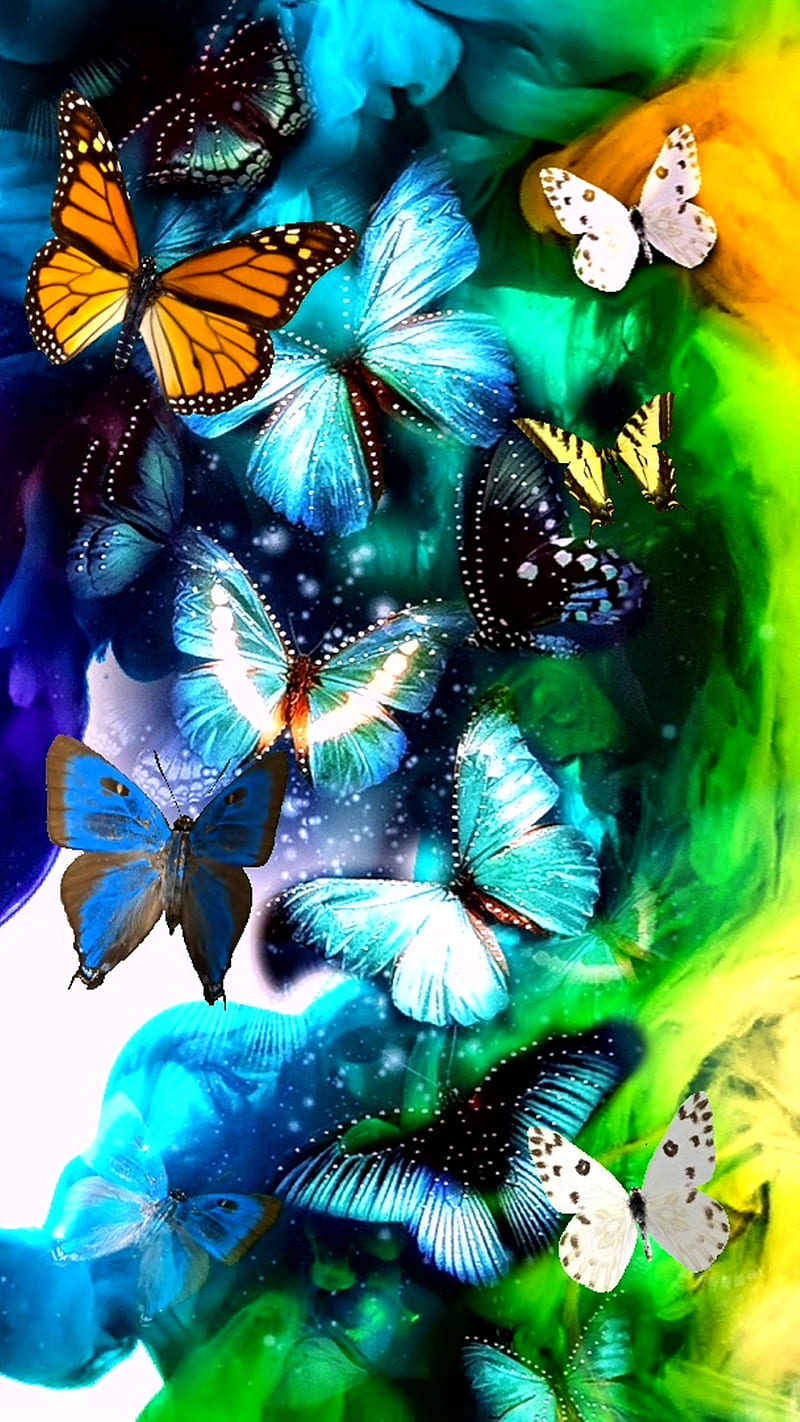 Butterfly beauty, butterfly beauty, desenho, HD phone wallpaper ...