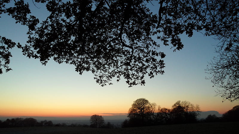 Winter Sunset over Alderley Edge, UK, tree, sunset, sky, field, blue, winter, cold, HD wallpaper