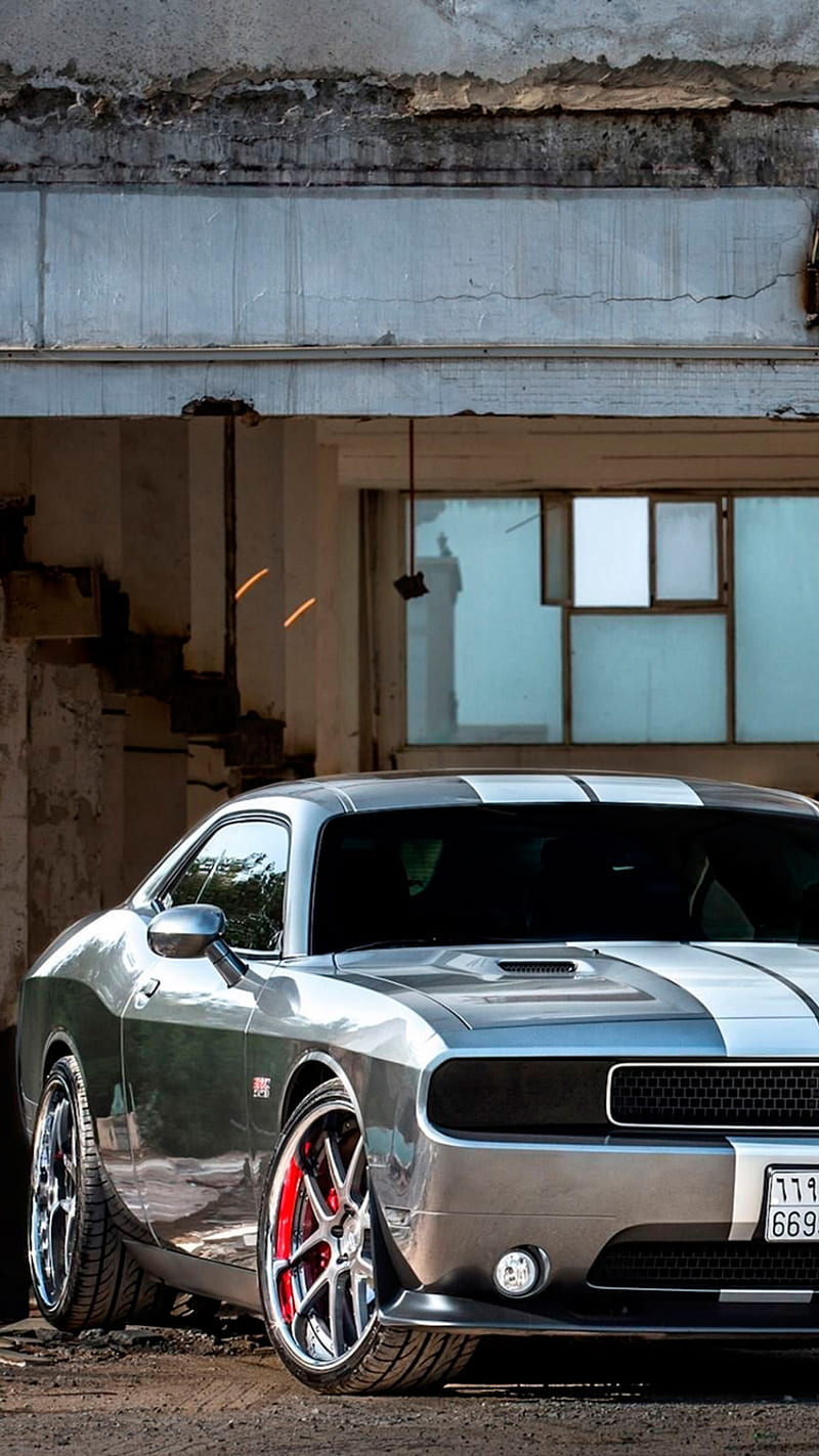 Dodge challenger, car muscle cars, road, silver, white, HD phone wallpaper