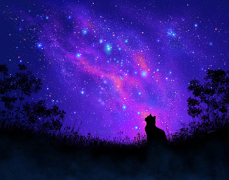 Fantasy Animals, Cat, Colors, Sky, Starry Sky, HD wallpaper