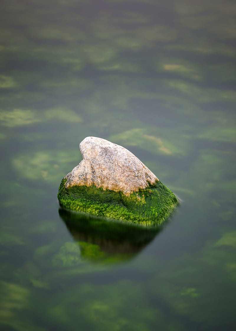 stone, moss, water, HD phone wallpaper